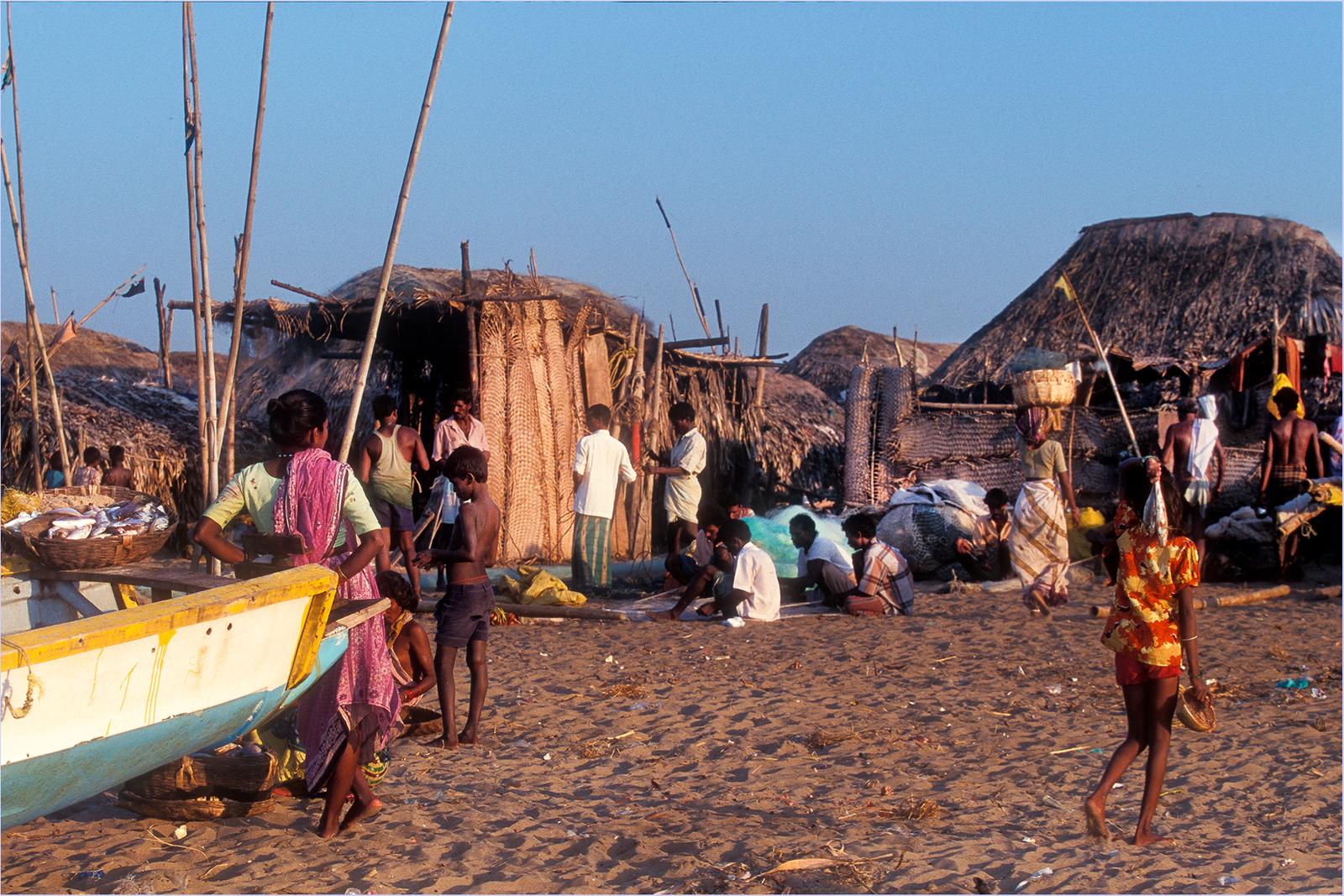 Inde (10)
