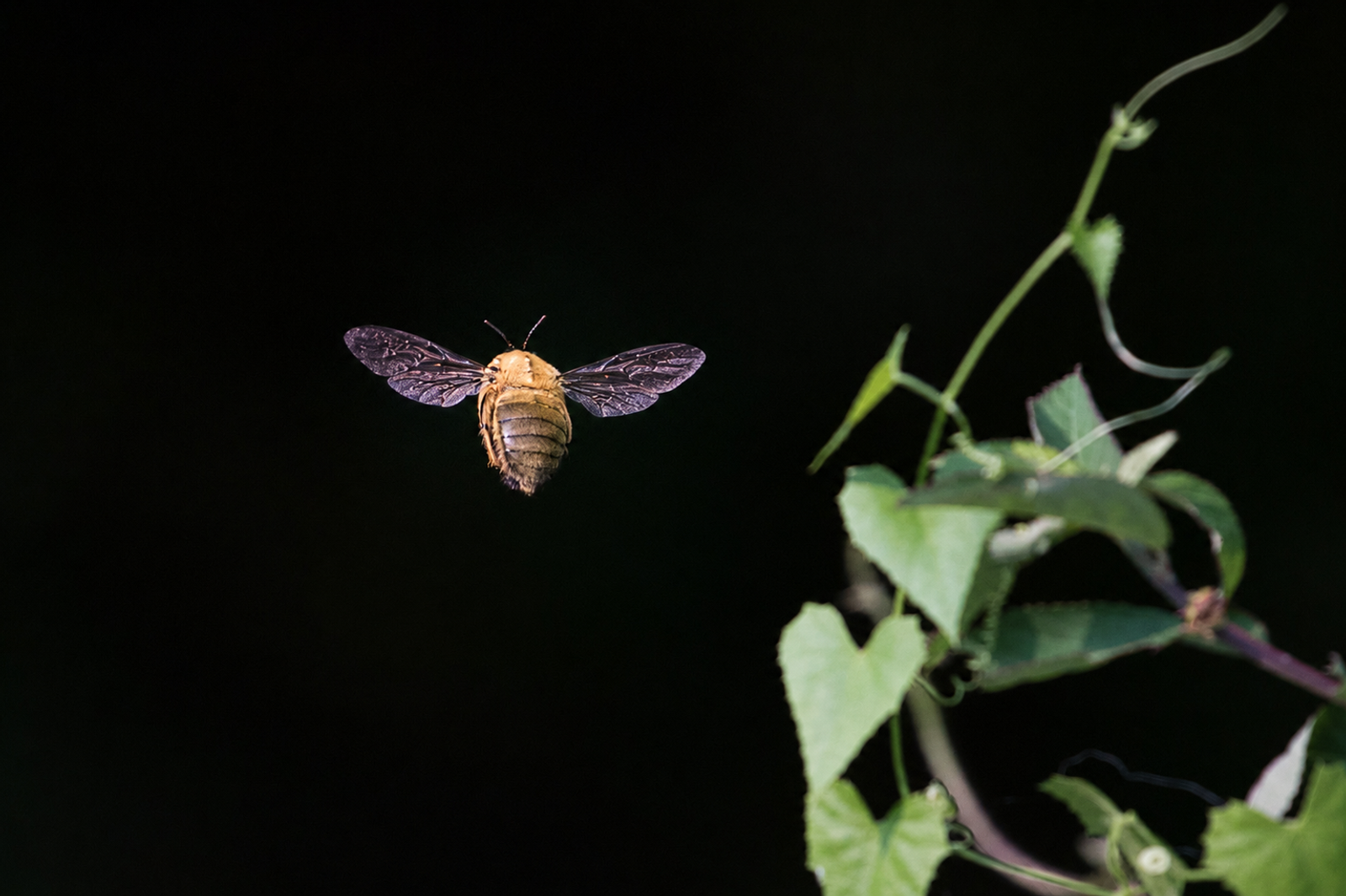 Photographie de Eric Desvergnes