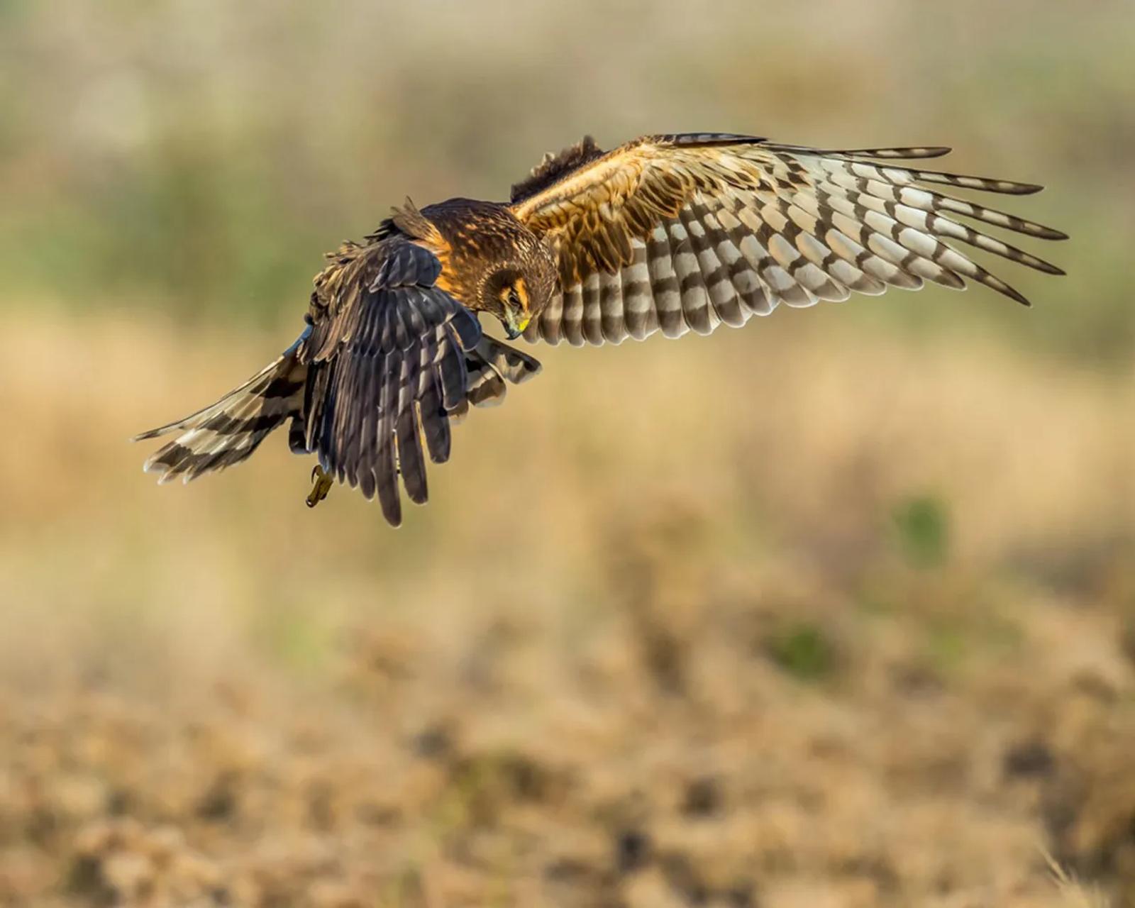 Photographie de Jean-Claude Fortor (4)
