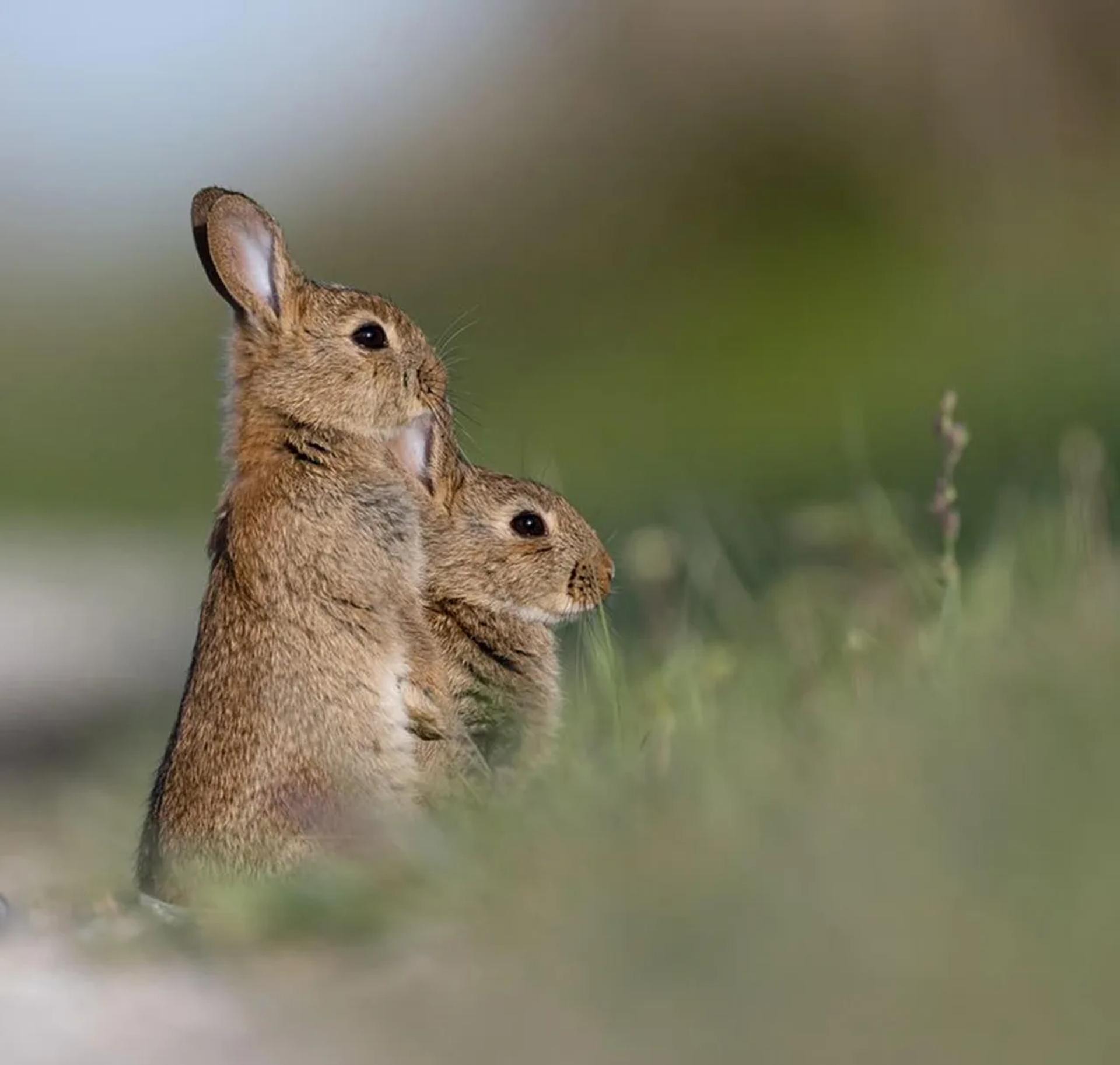 Photographie de Jean-Claude Fortor (10)