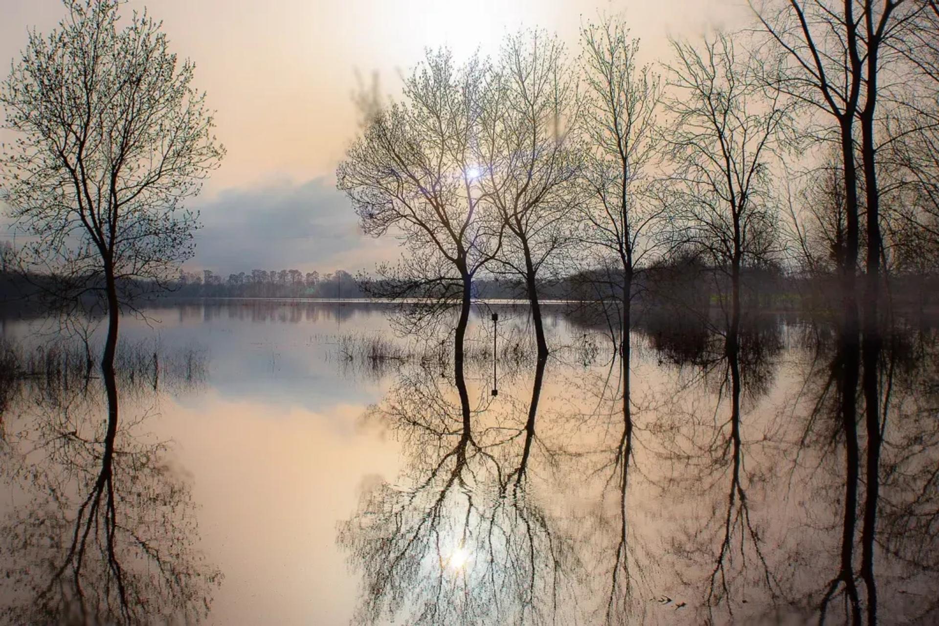 Exposition libre Automne 2025