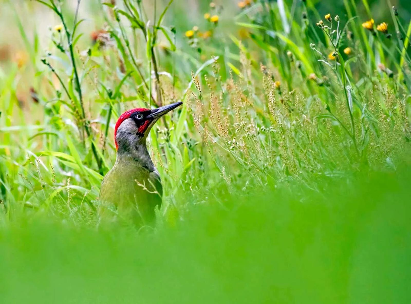 Photographie de Jean-Claude Fortor (5)