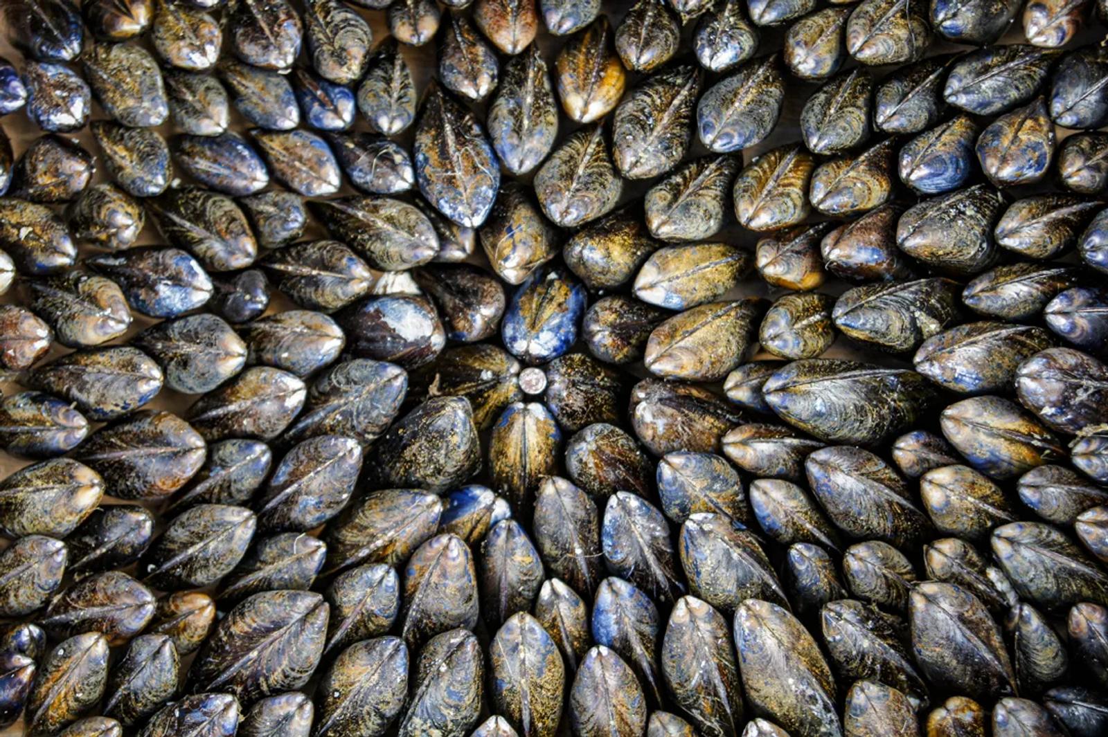 Défi N°4 "Nature morte en lumière naturelle" — photographie 10 (GPPR)