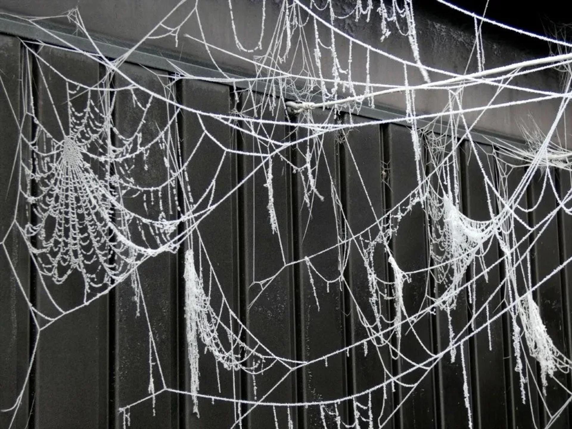 Photographie de Philippe Czeher (2)