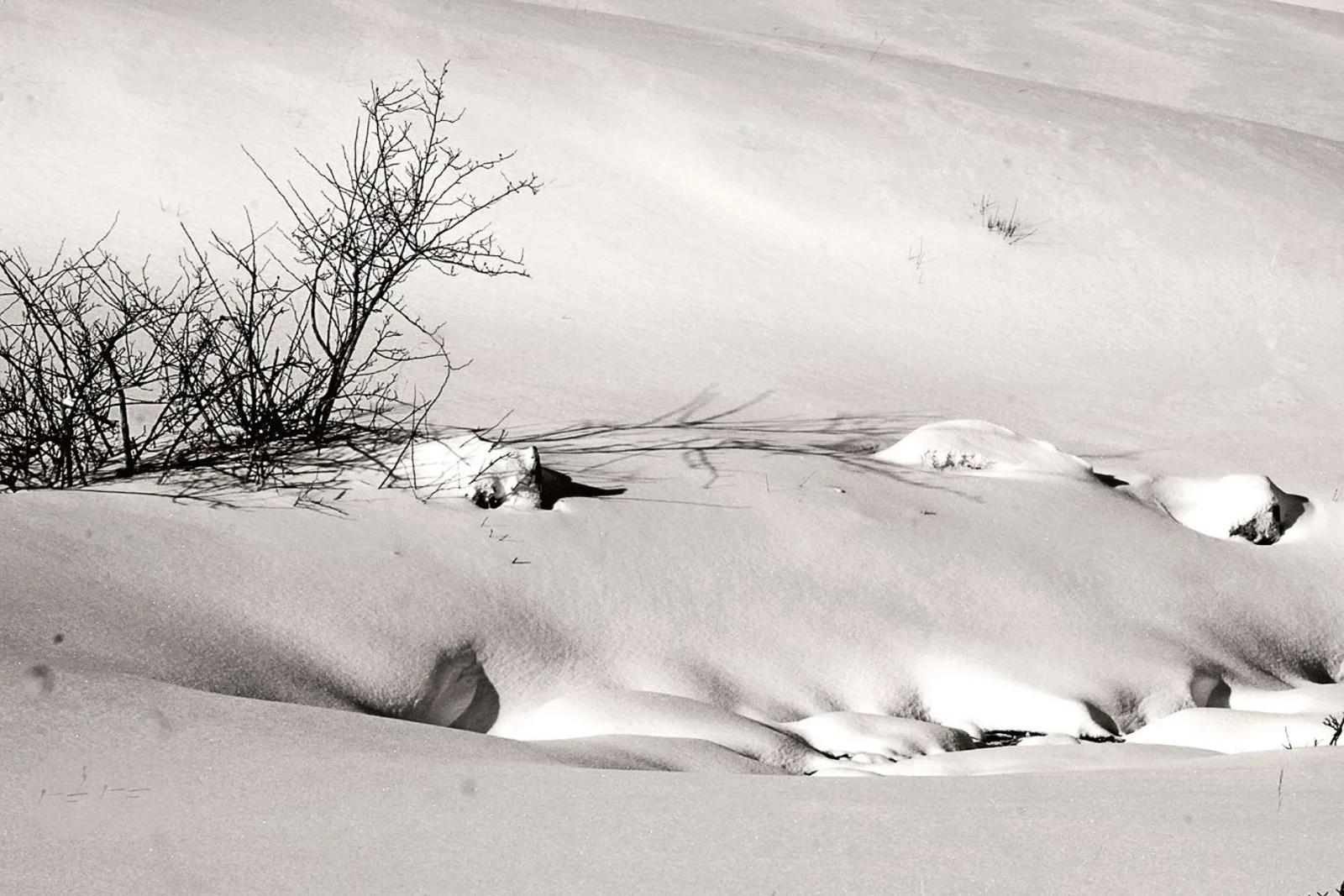 UR03 concours images projetées 2025 — photographie 55 (GPPR)