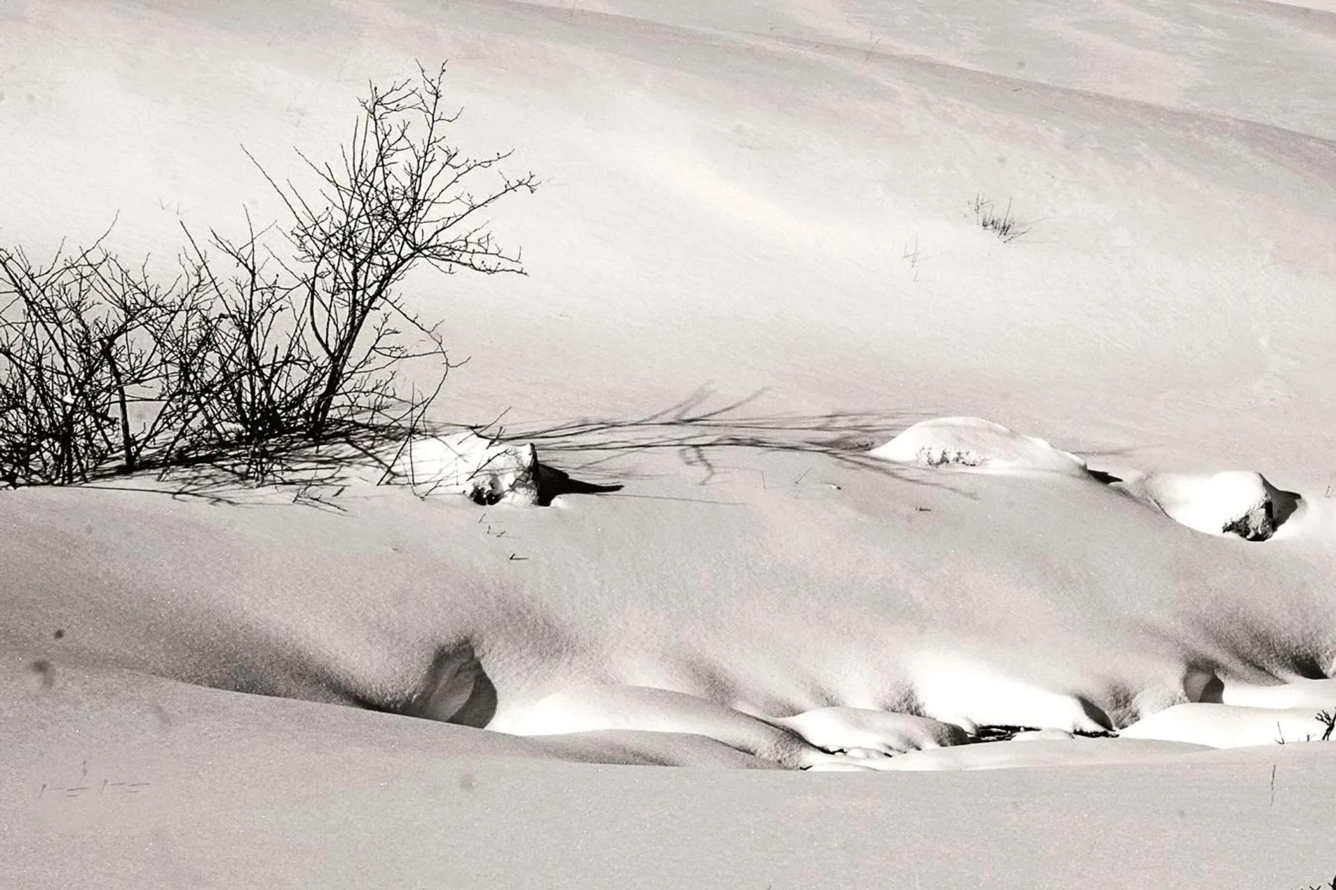 UR03 concours images projetées 2025 — photographie 55 (GPPR)
