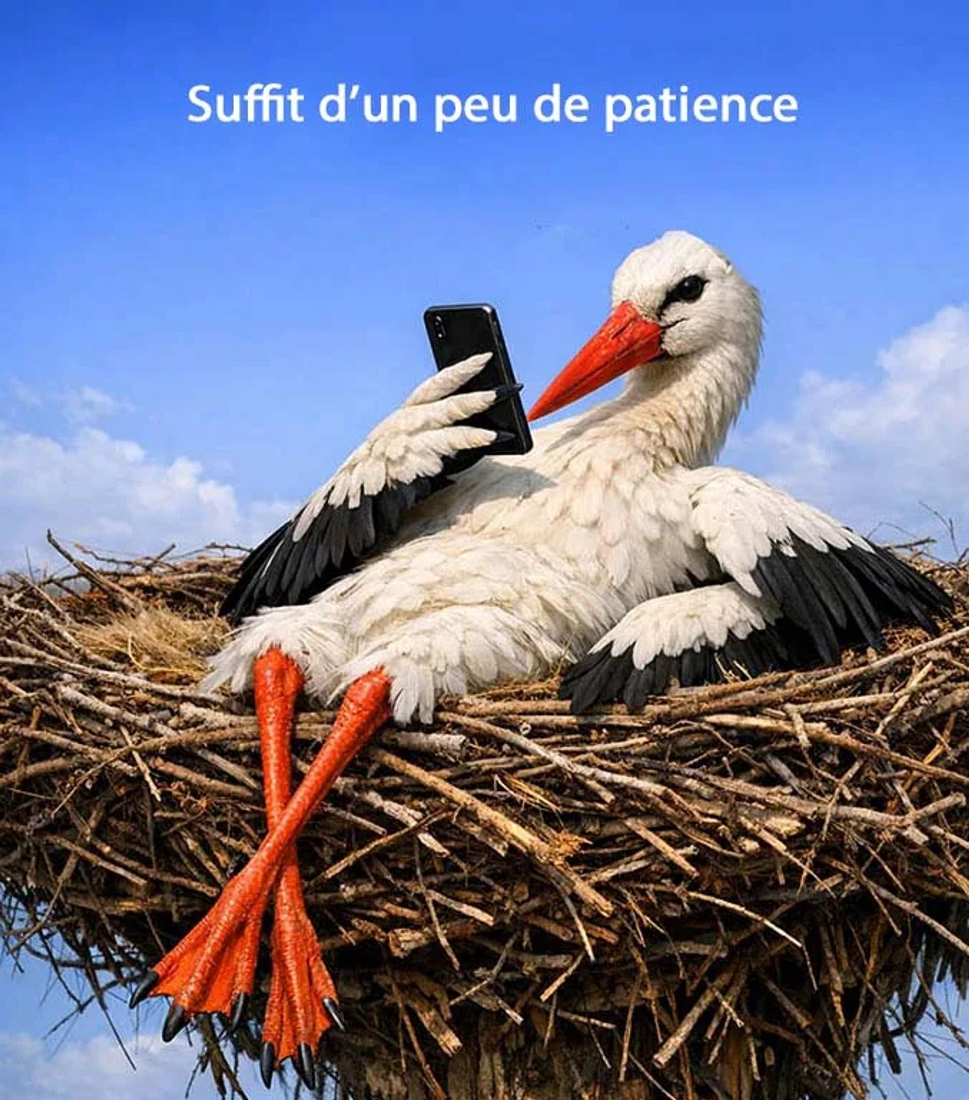 Photographie de Jean-Claude Fortor (9)