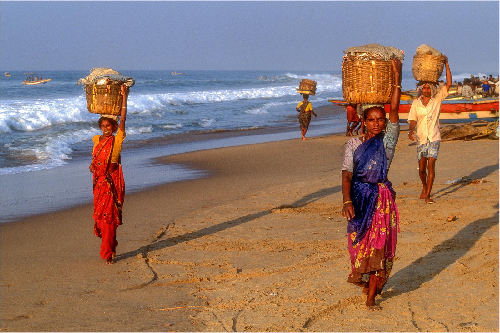 Inde (5)