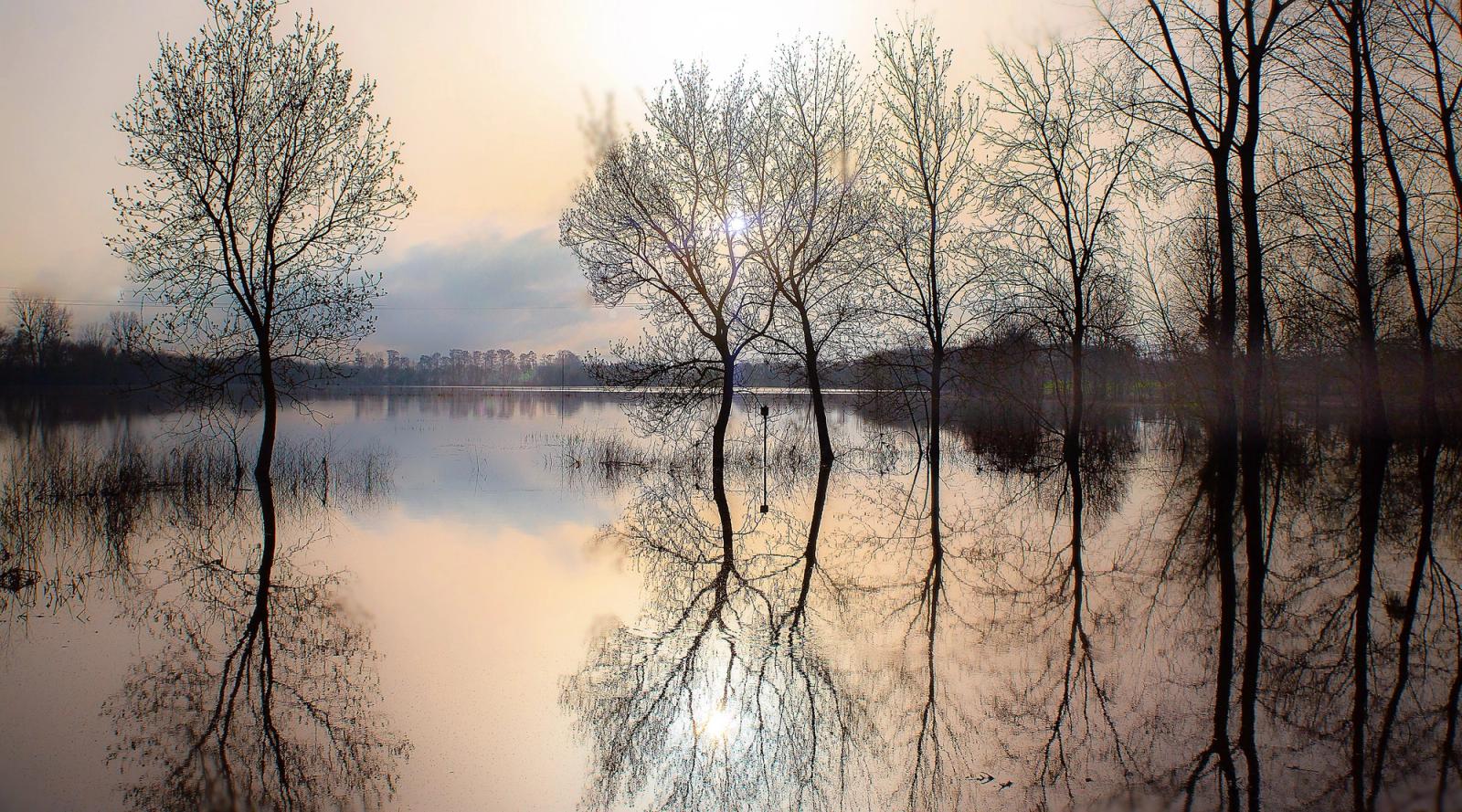 Miroir d'eau