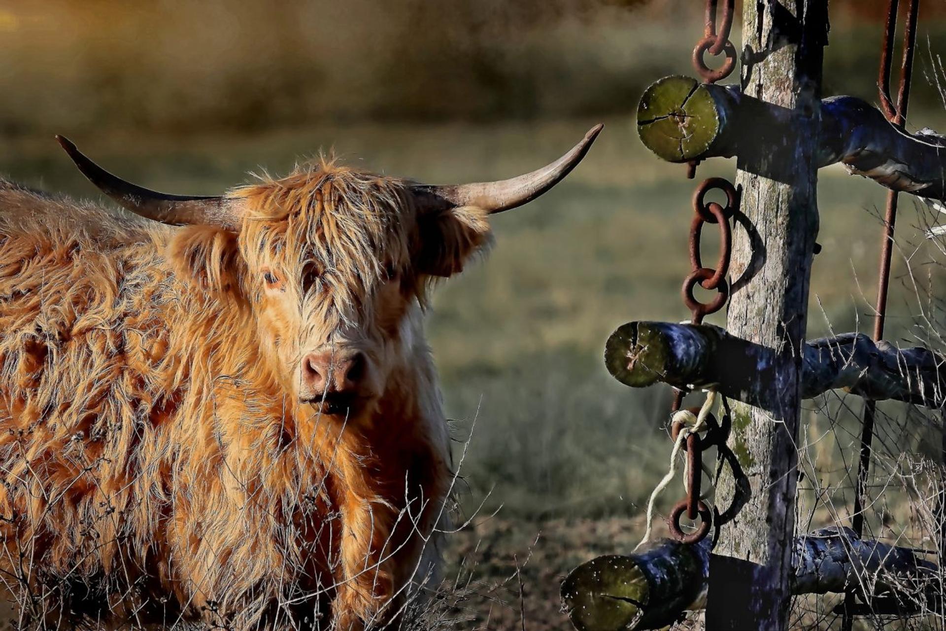 Le monde agricole 