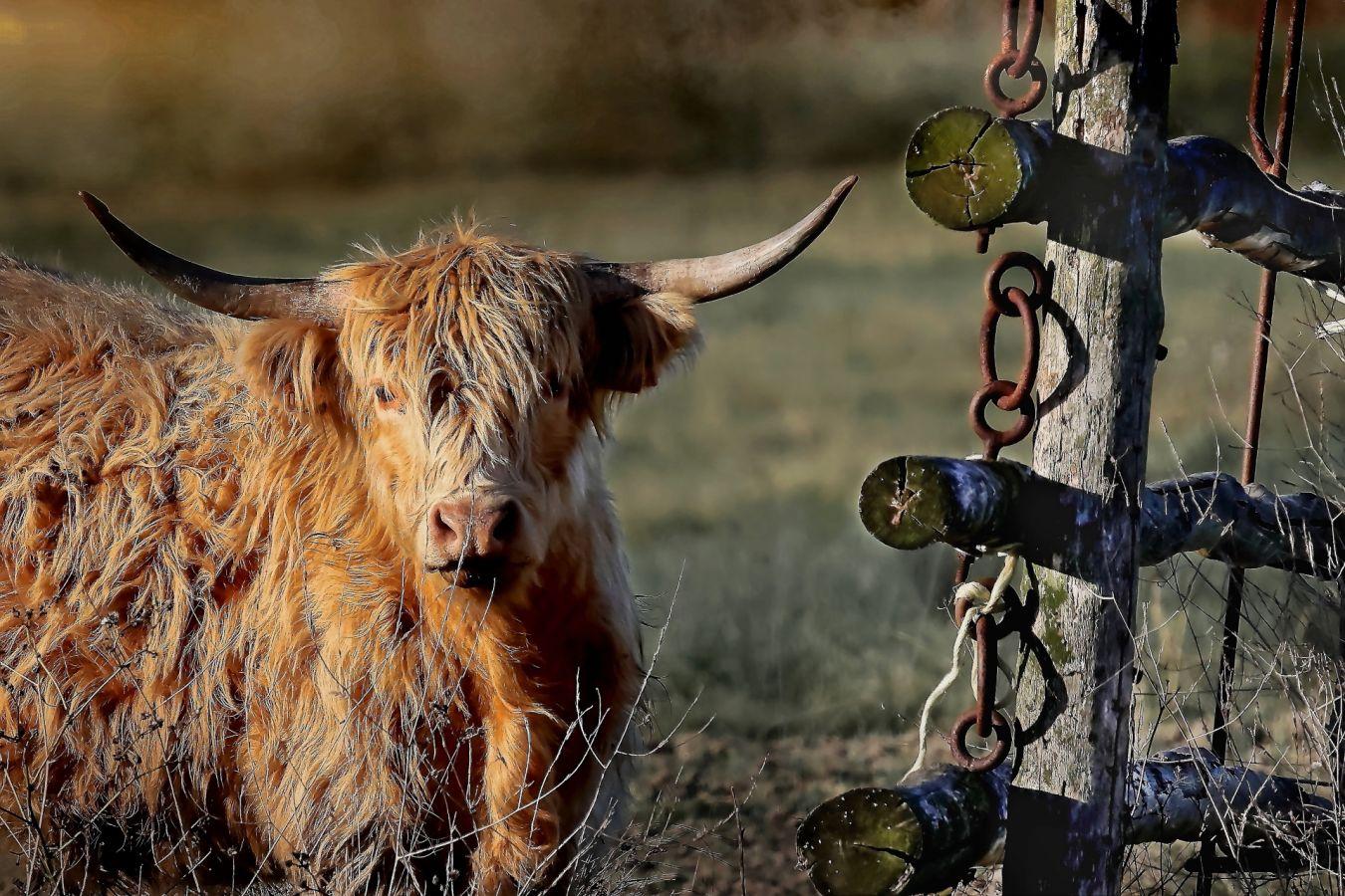 Le monde agricole