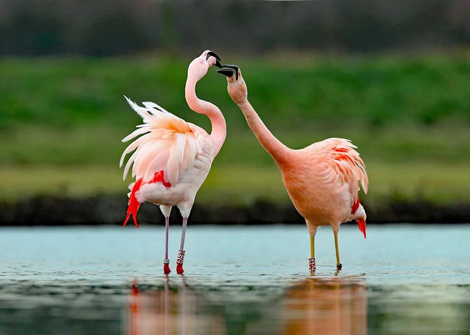 Photographie de Jean-Claude Fortor (7)