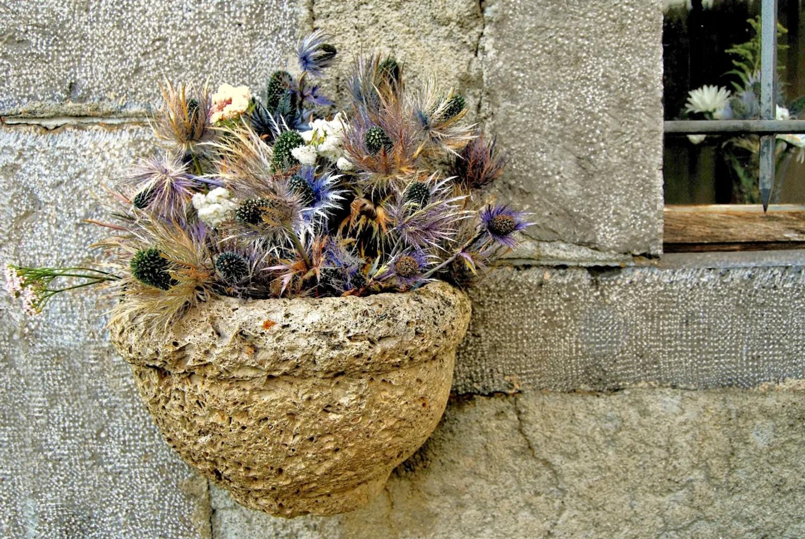 Défi N°4 "Nature morte en lumière naturelle" — photographie 5 (GPPR)