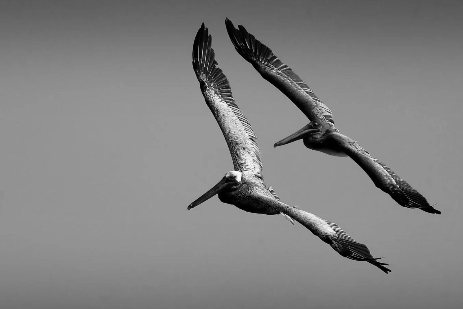 UR03 concours images projetées 2025 — photographie 32 (GPPR)