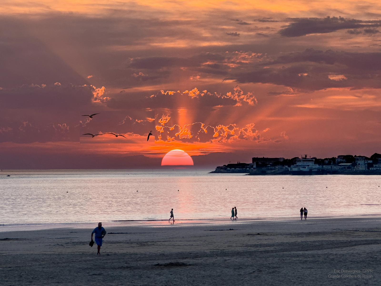 Club de bridge de Royan 