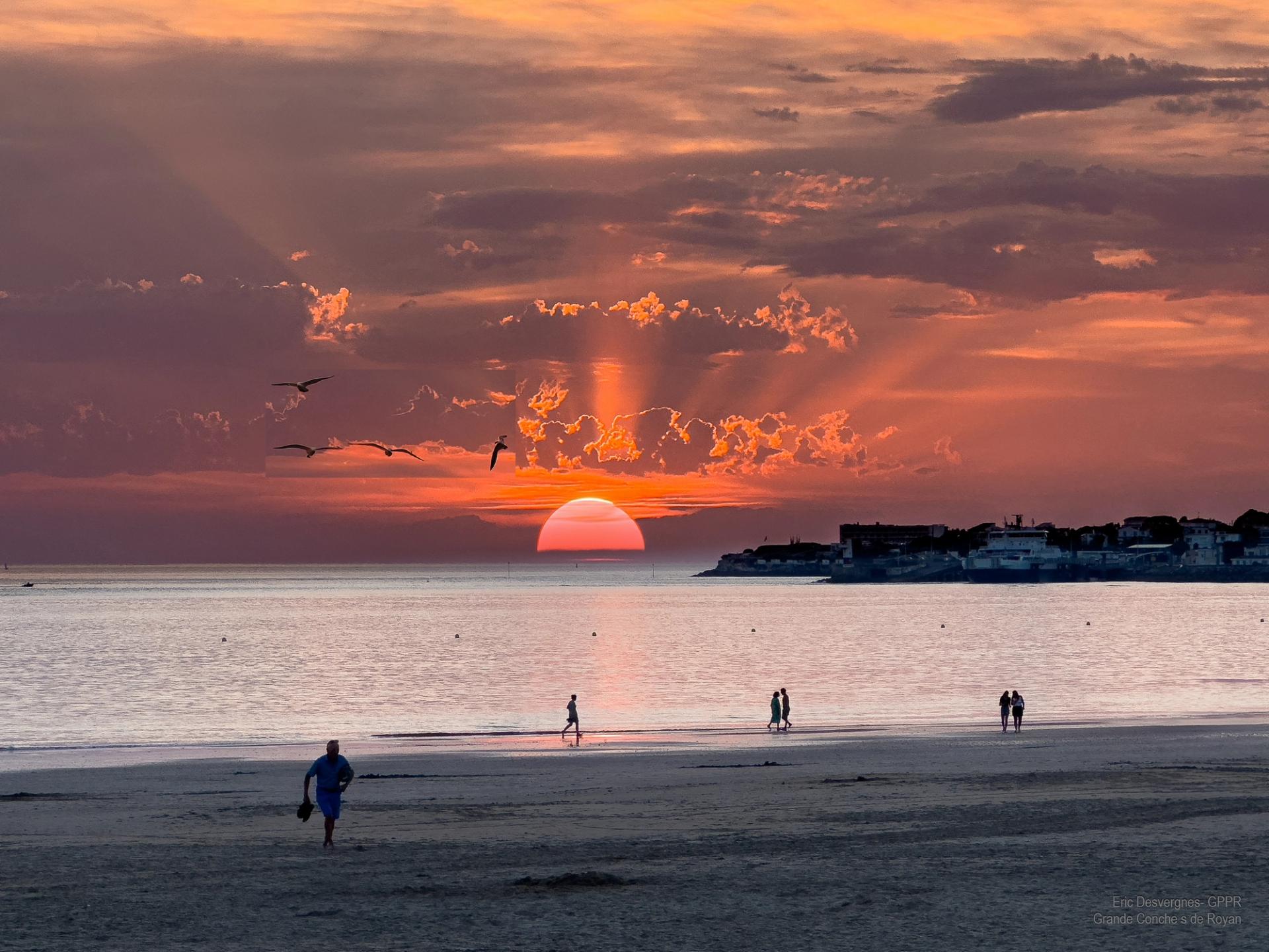 Club de bridge de Royan 