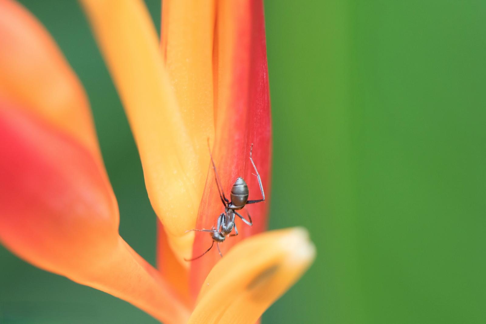 Photographie de Eric Desvergnes