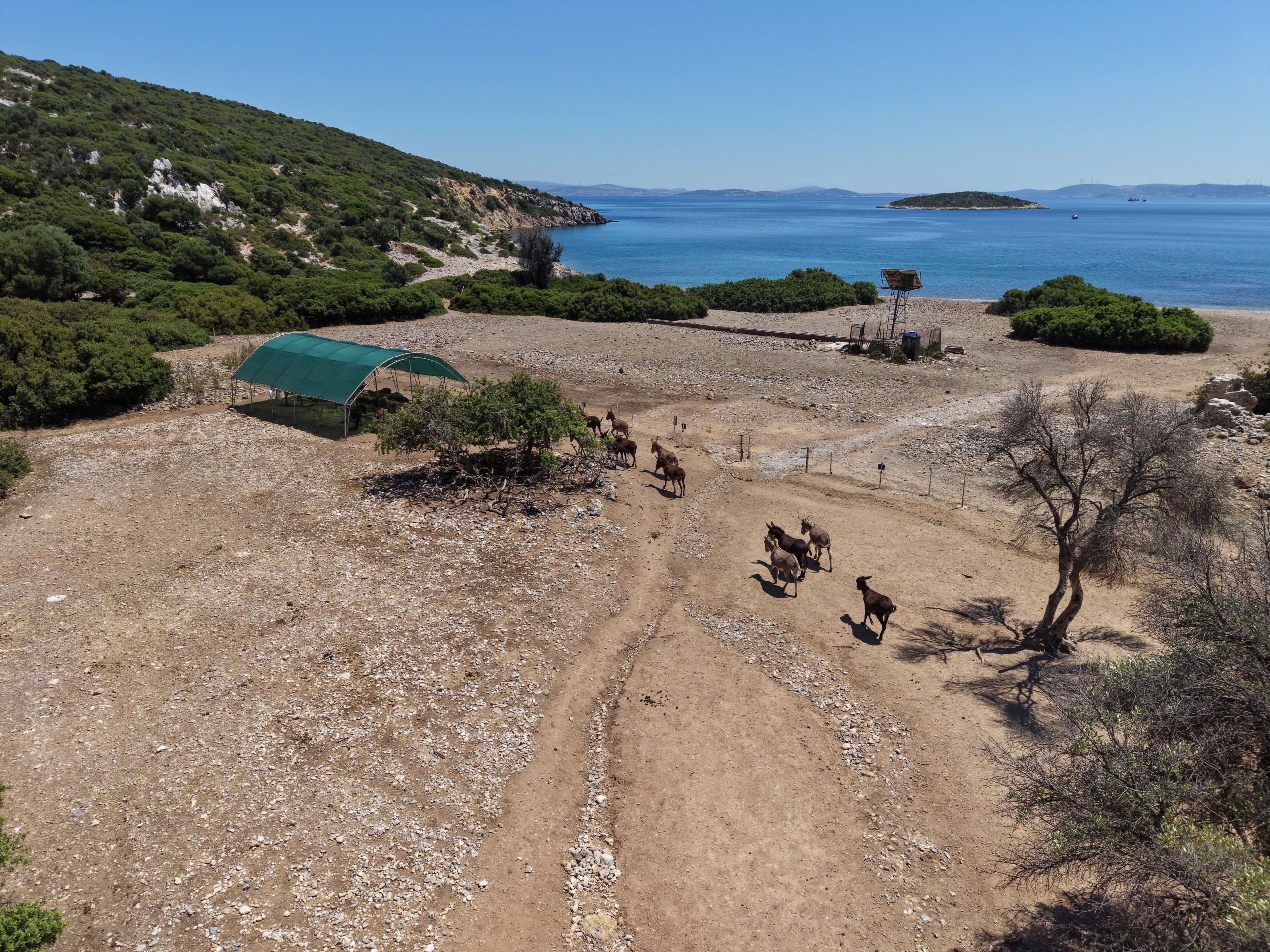 Çeşme Adalar & Koylar Turu –  Öğle Yemeği Dahil - 8