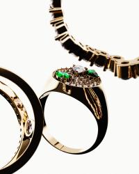 harkness - campaign | Chien Bleu Studio