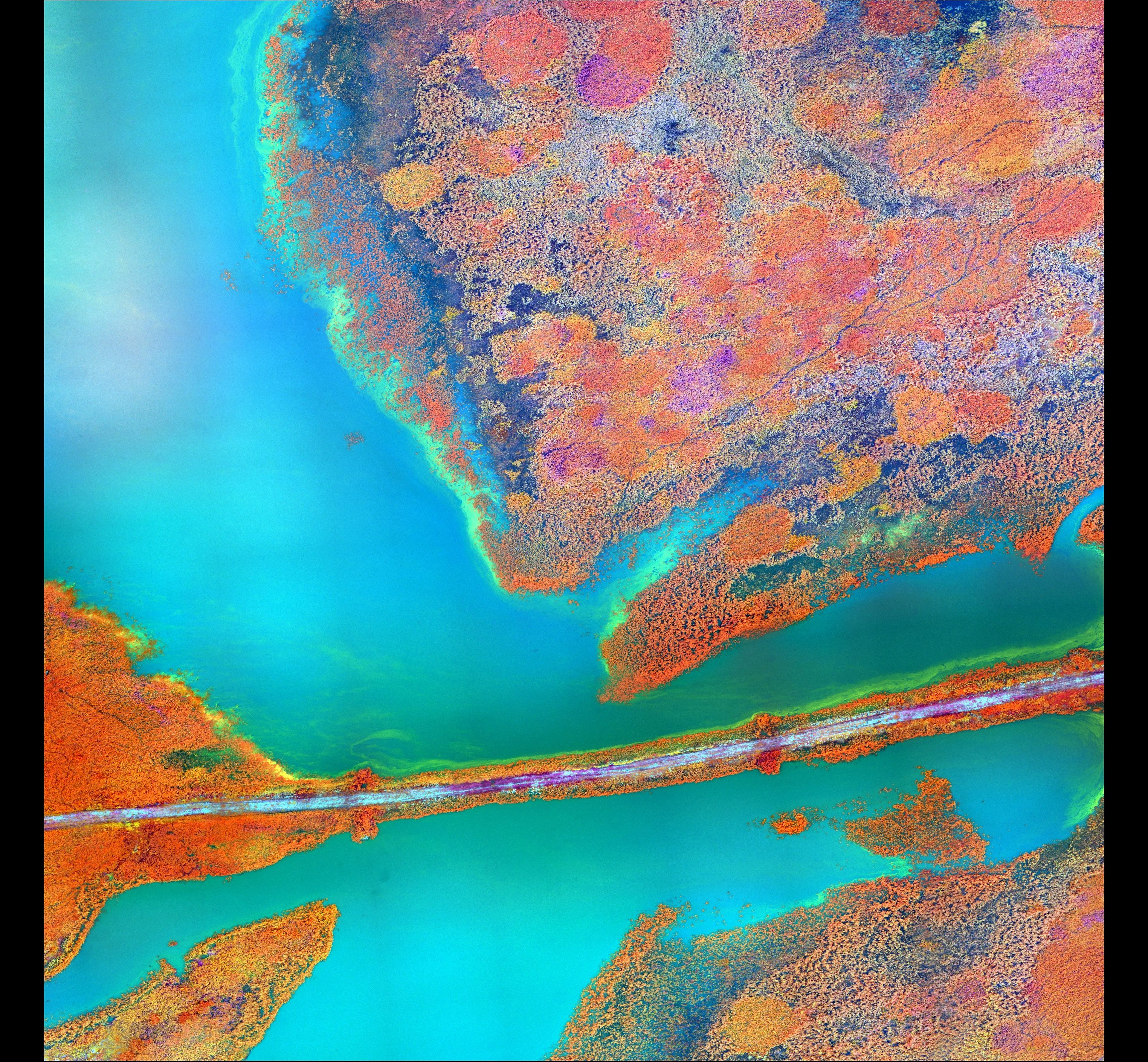 A Study in Algae — United States of America — UAS