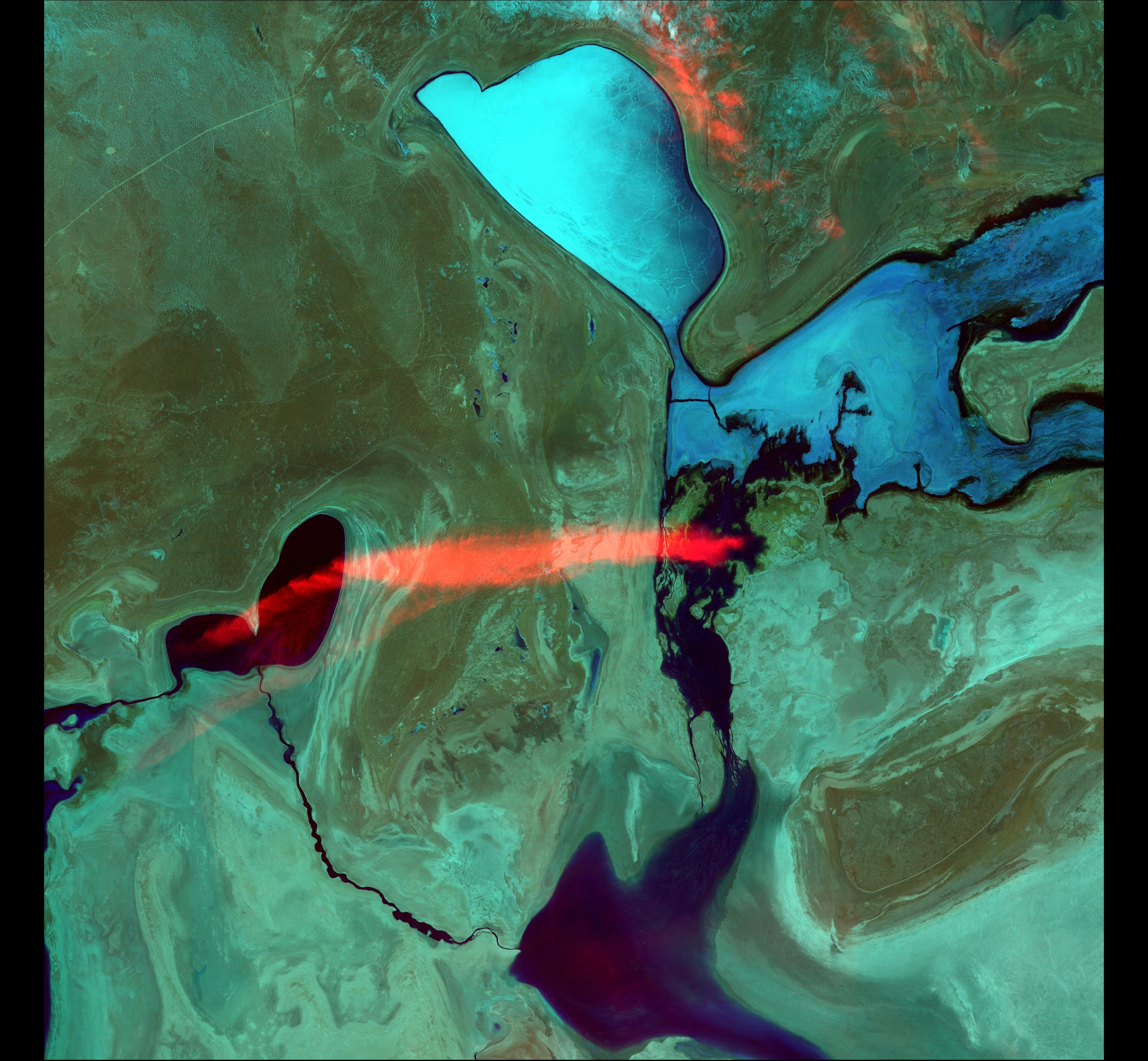 Bleeding Heart — Kazakhstan — Landsat 8