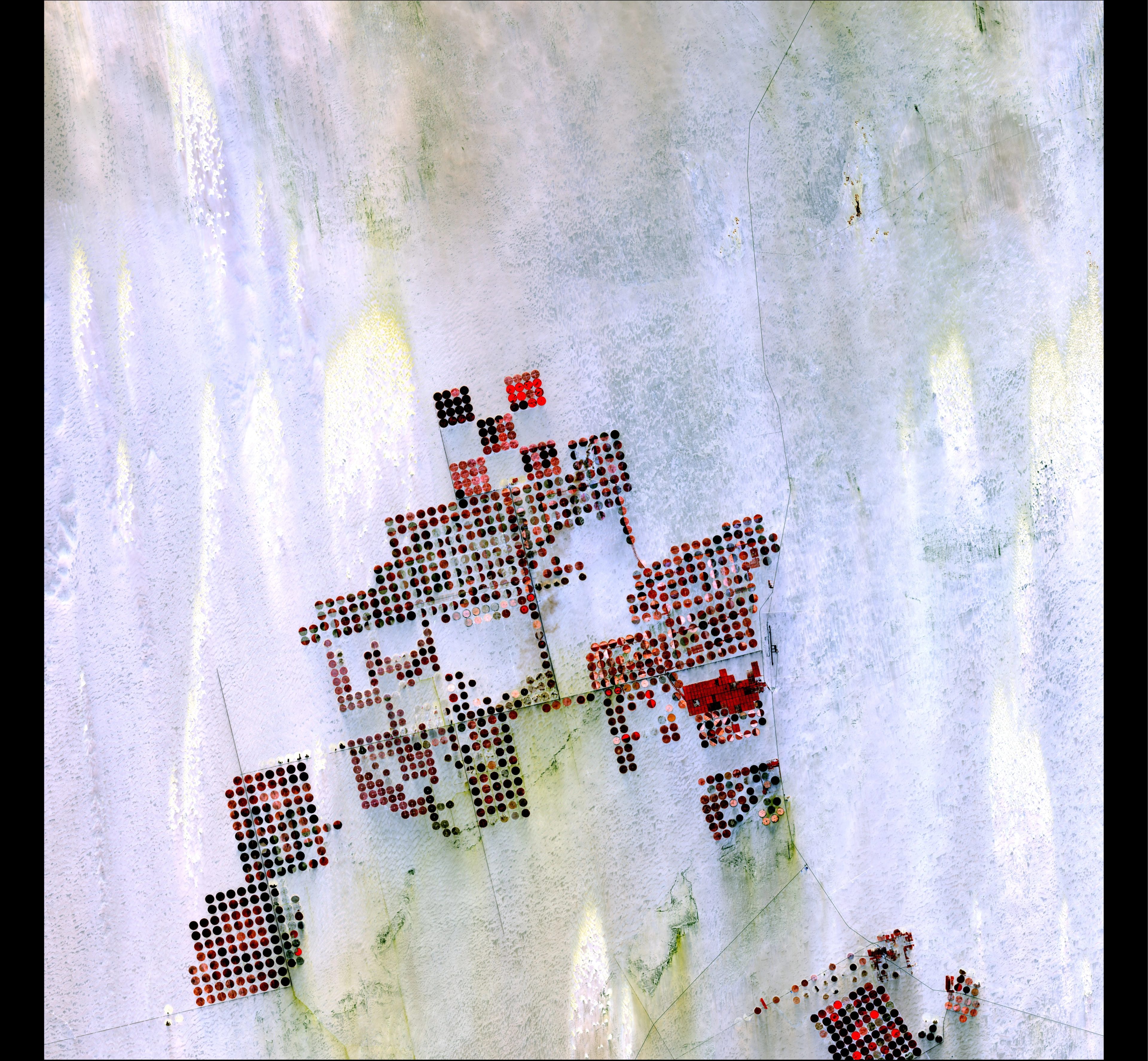 Geometric Desert — Egypt — Landsat 8