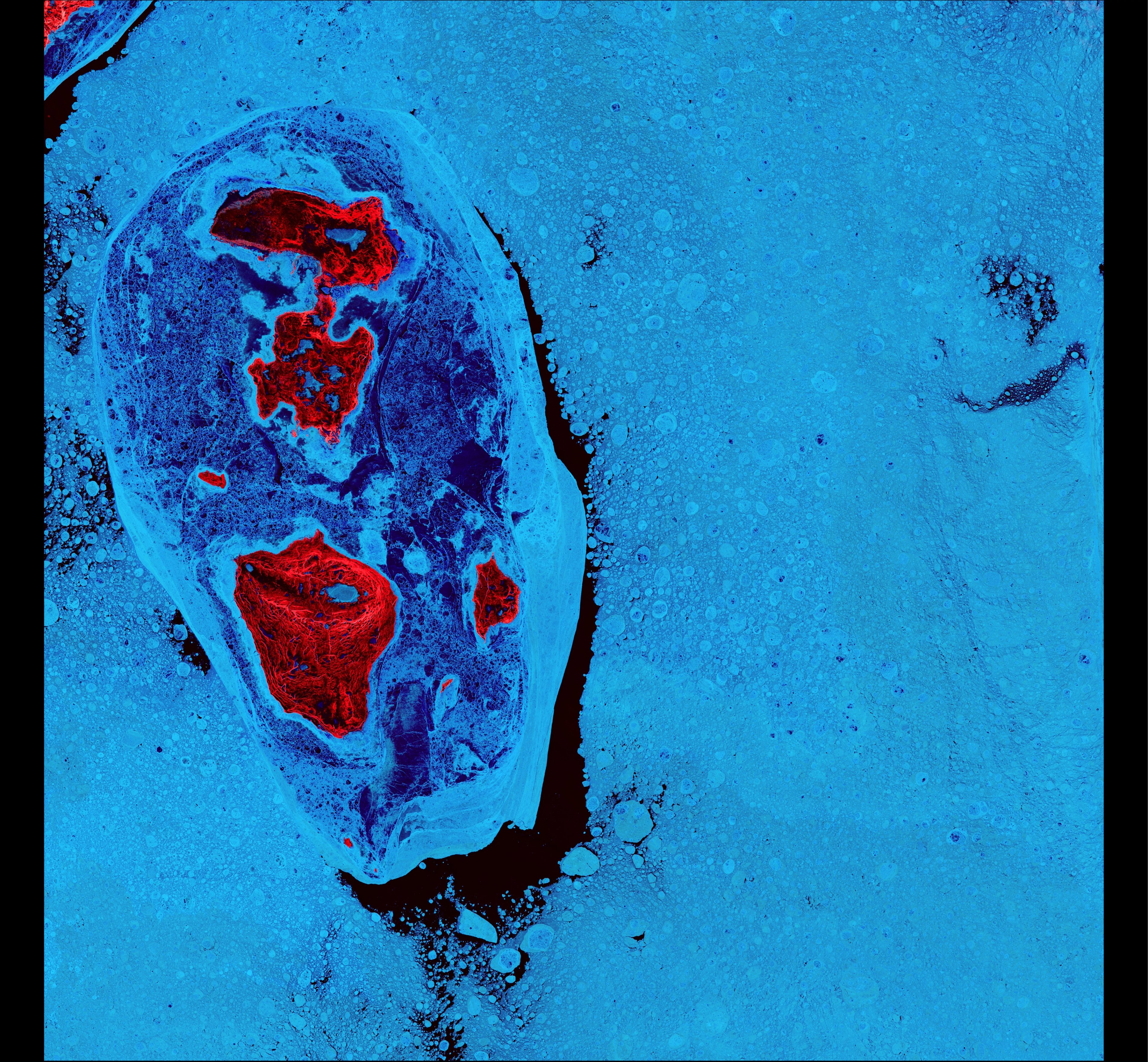 Cellular Ice — Canada — Landsat 8