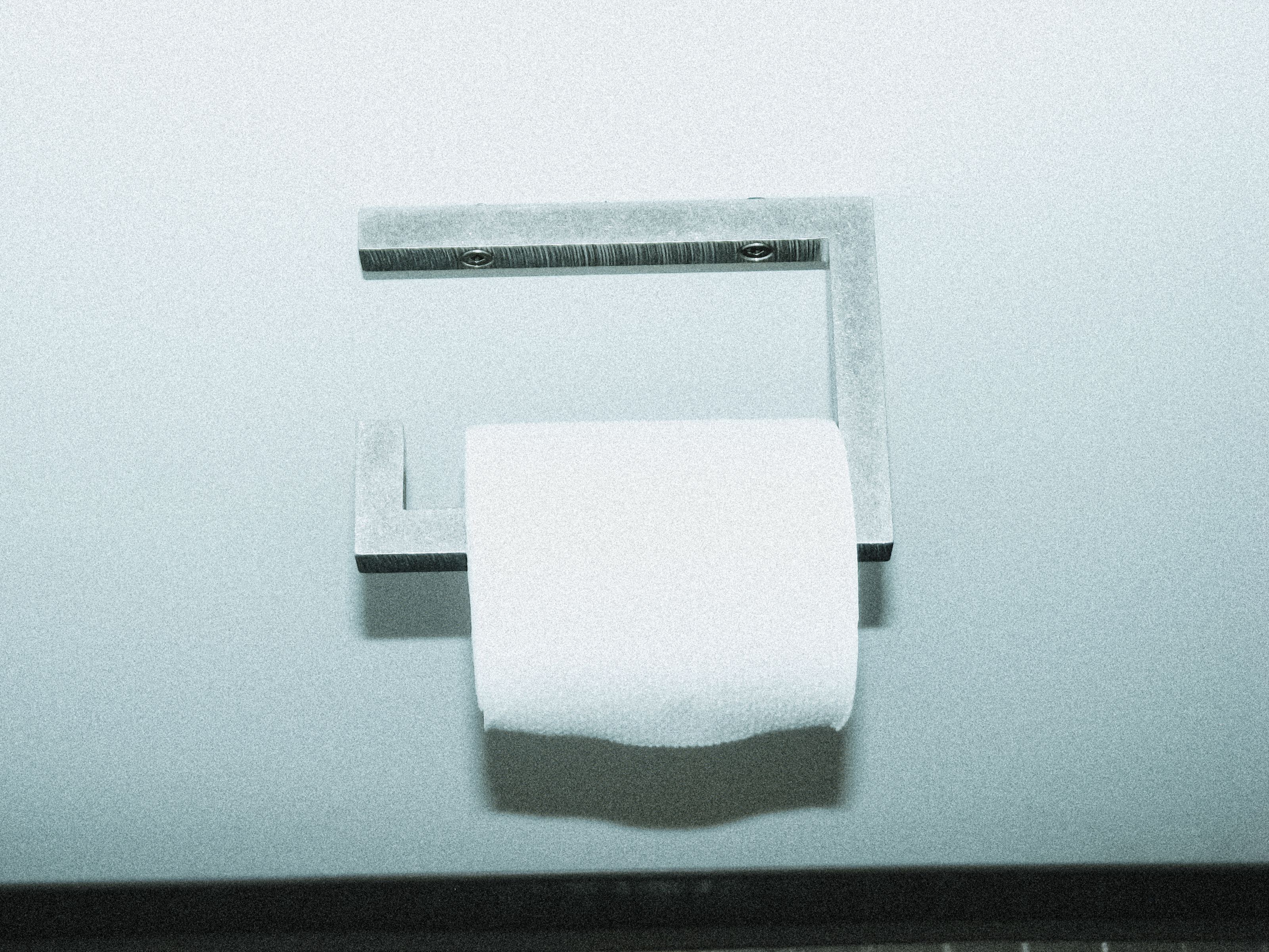 toilet paper on an aluminum wall hanger, WOE, Width Over Ears