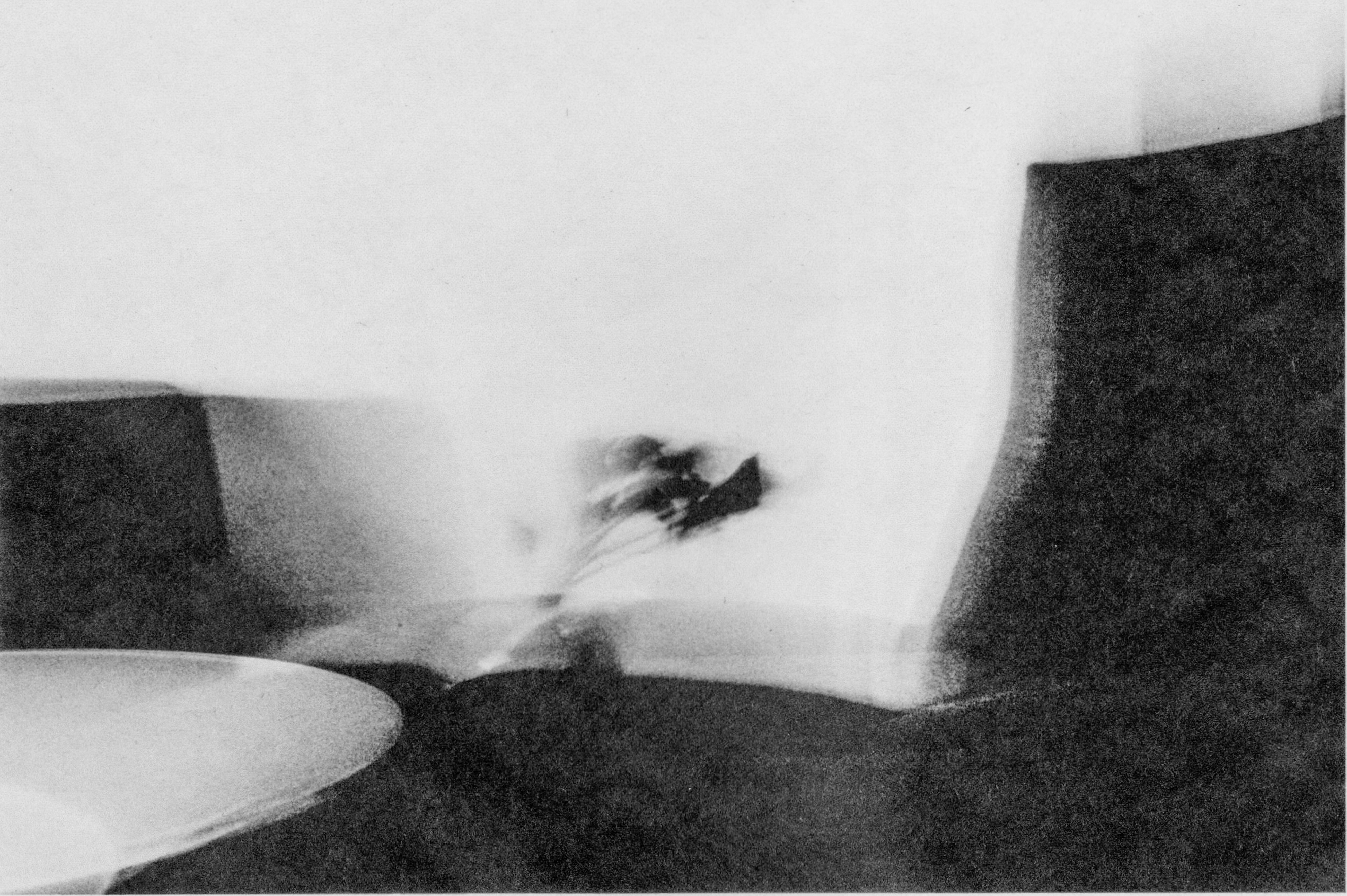 black and white image of an black sofa with flowers