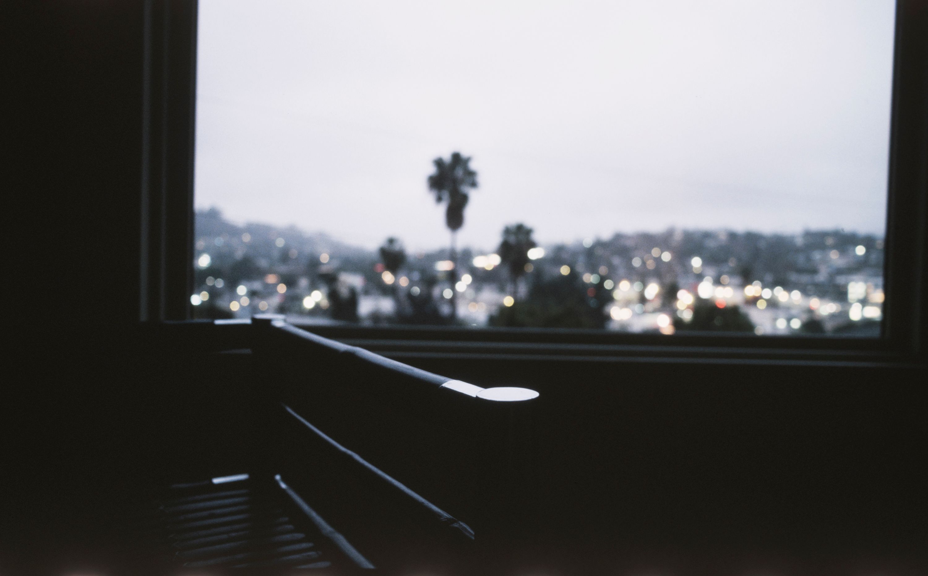 a large window with palm trees and lights