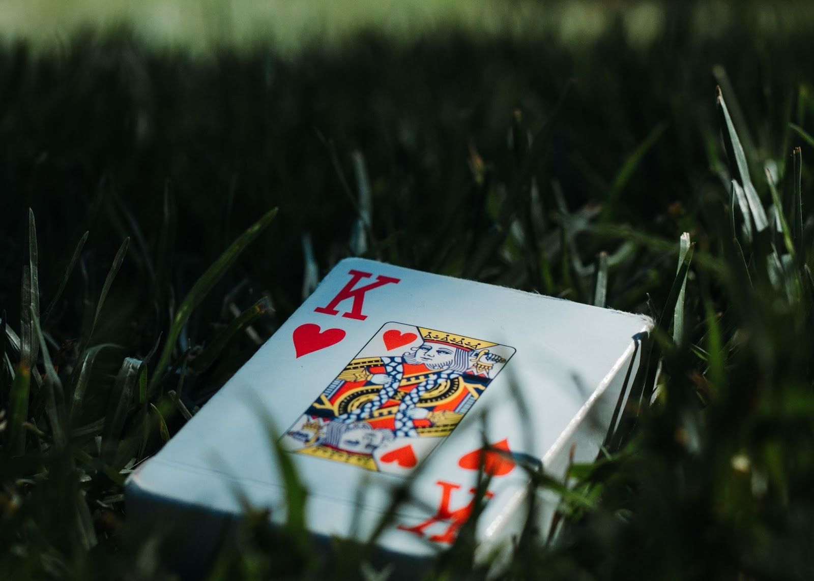 King and Queen of hearts playing cards displayed on white surface surrounded by grass blades
