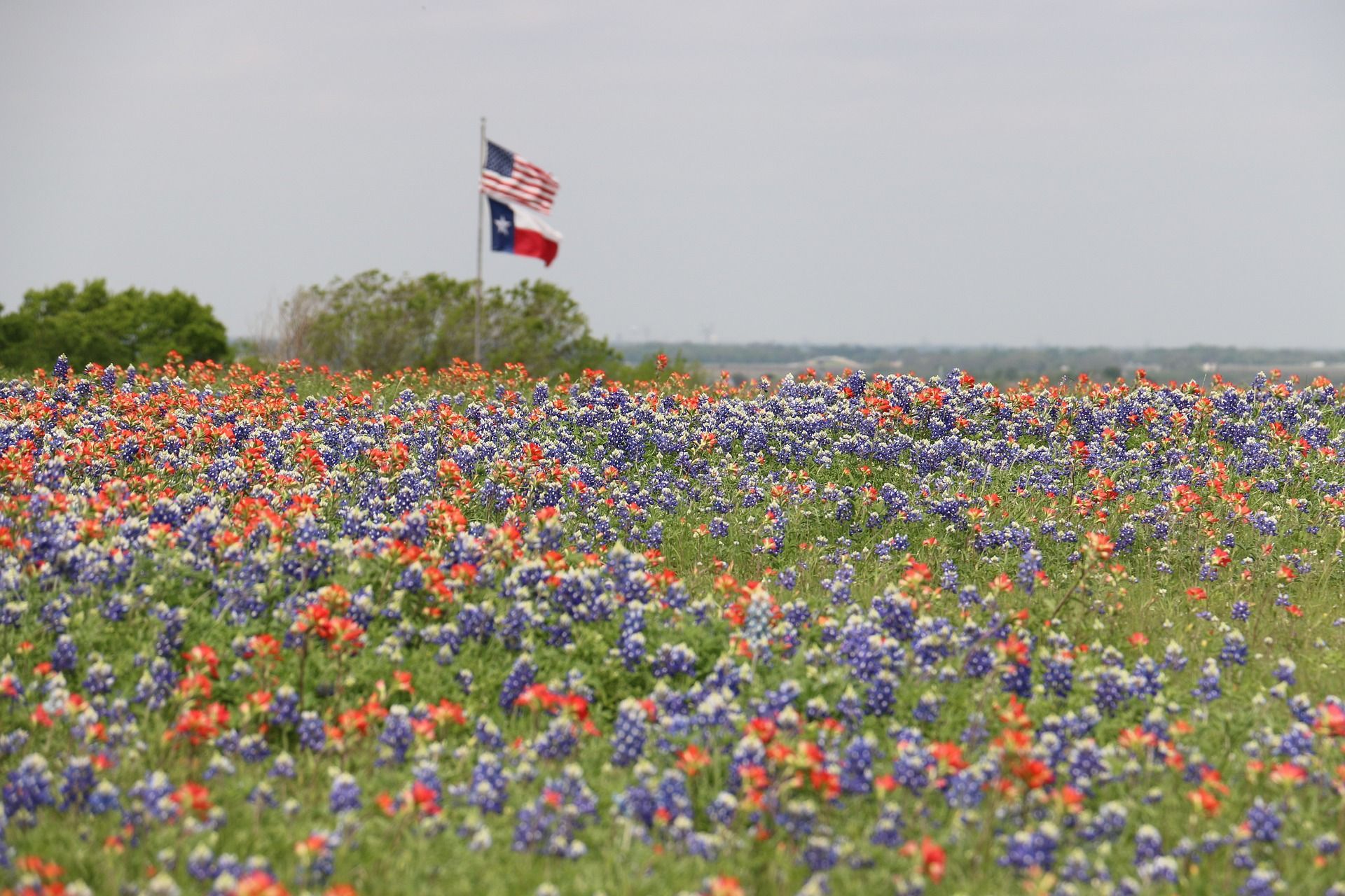 Texas RV Parks: Enhancing Revenue with Extended Rental Programs