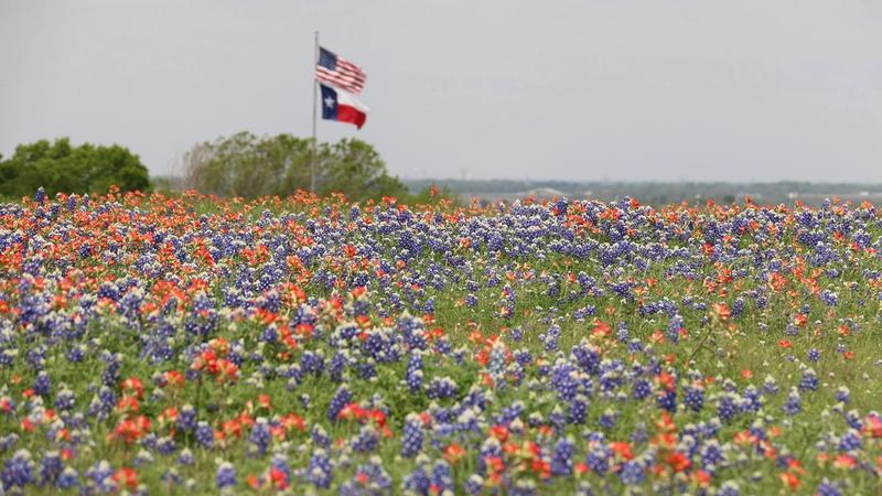 Texas RV Parks: Enhancing Revenue with Extended Rental Programs
