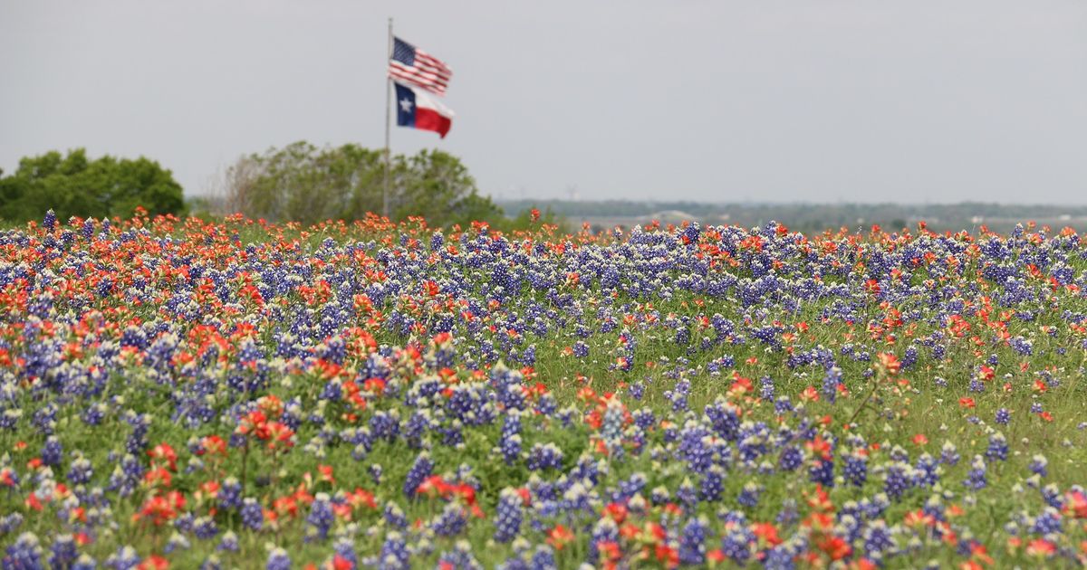 Texas RV Parks