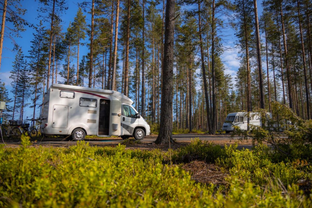 White motorhome parked in a forest clearing surrounded by tall pine trees and green undergrowth on a sunny day.