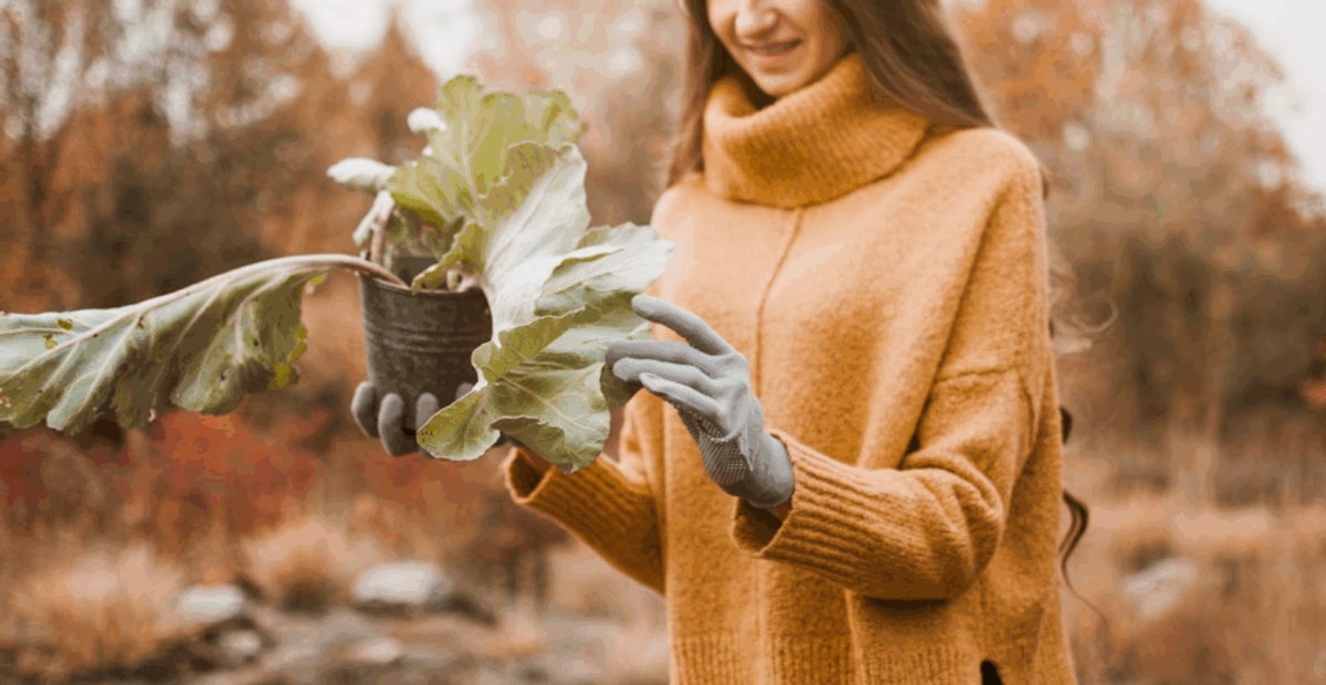 Woman in mustard sweater holding potted plant with leafy green foliage outdoors in autumn setting.