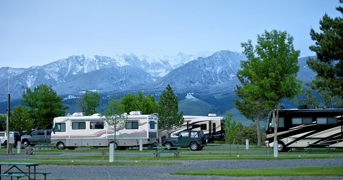 a group of camper vans in a campground spot