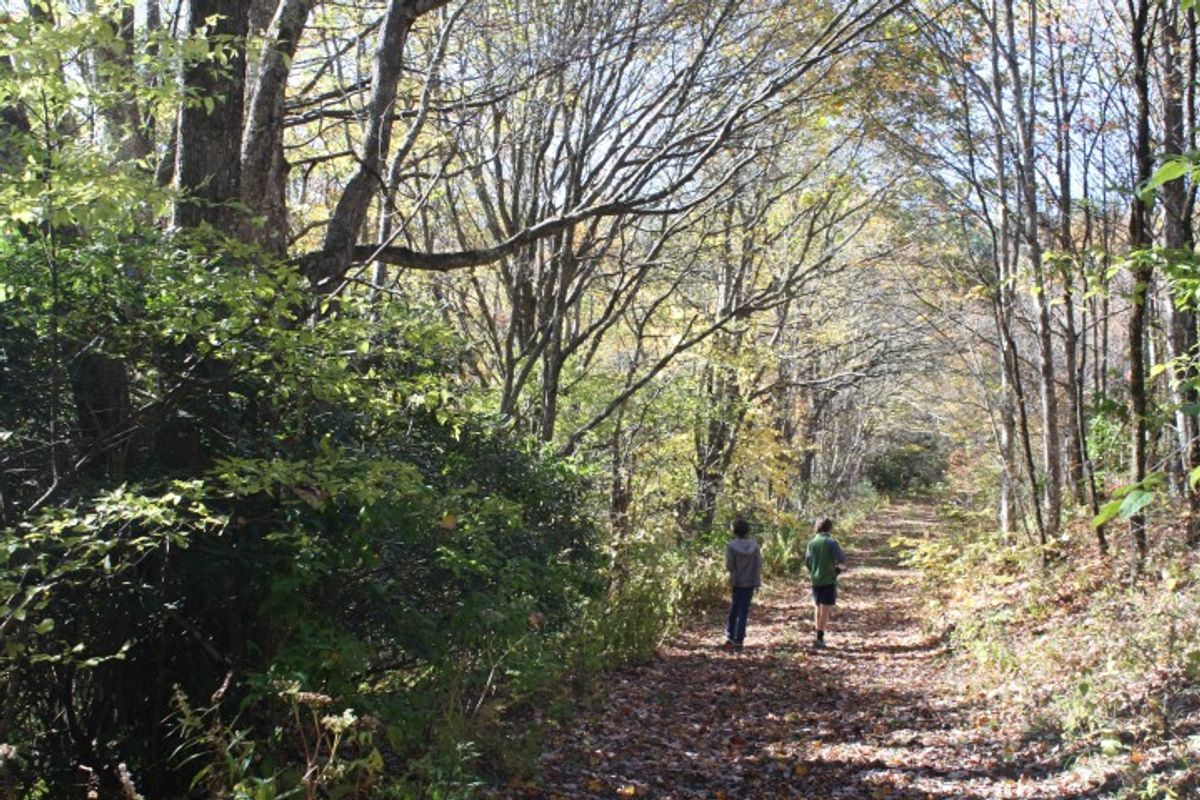 Hiking in North Carolina