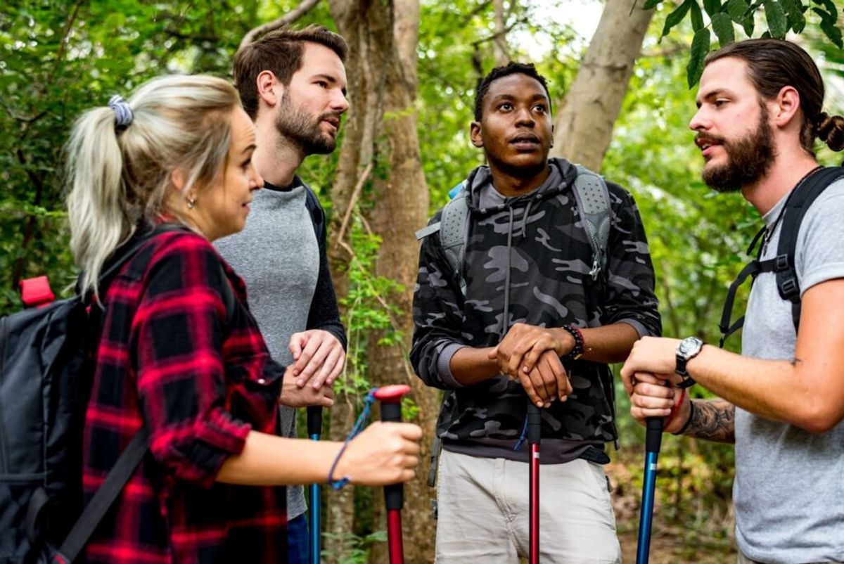 Four hikers with backpacks stand on a forest trail, discussing their route while holding trekking poles among tall trees.