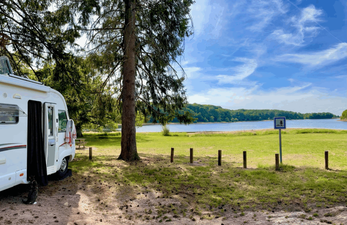 White travel trailer parked at lakeside campground under tall evergreen tree, with water and forested shoreline visible in background.