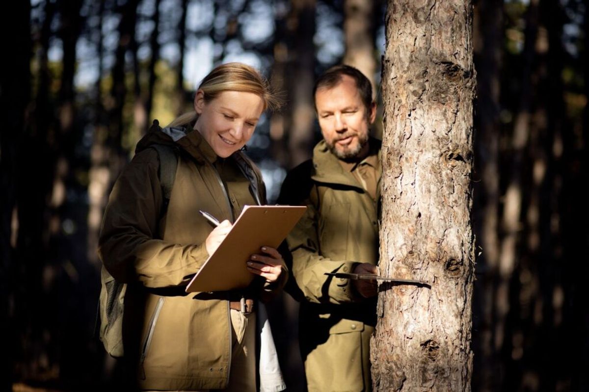 Two park rangers in khaki uniforms examine a clipboard together while standing beside a birch tree in a forest setting.