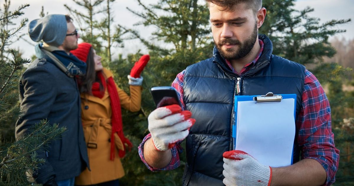 Man with clipboard and phone in winter forest while two people examine evergreen trees in background during holiday season.