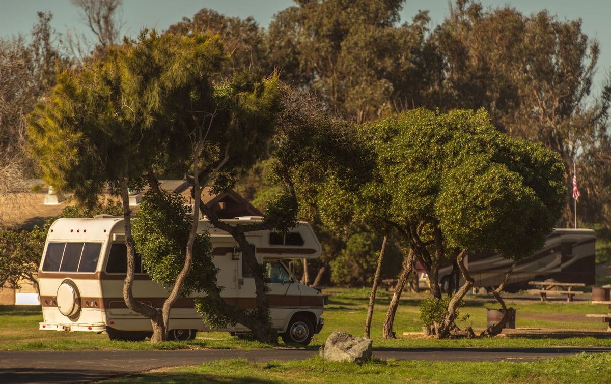 RV campers parked among mature trees in a shaded campground with grass and landscaping visible in afternoon sunlight.