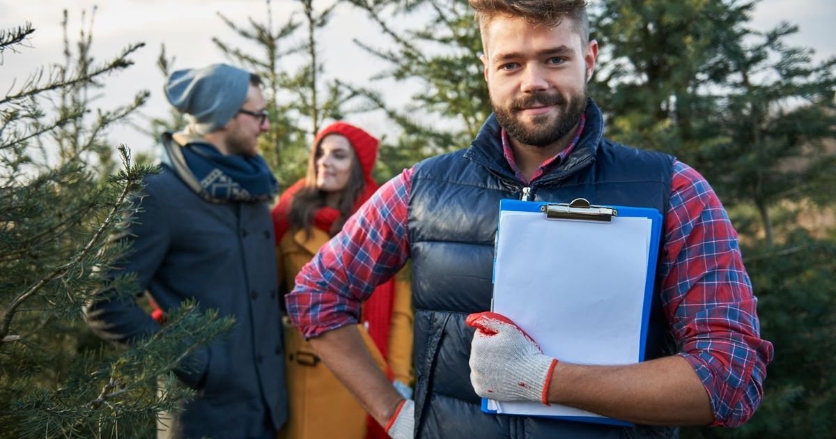 Bearded man holding clipboard in forest with three colleagues discussing campground operations among evergreen trees.