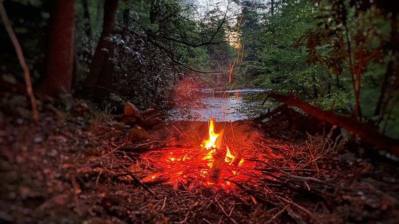 Case Study: How Camp Holly Grew Revenue 5x and Built a Glamping Destination From Scratch