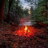 Campfire beside the river at Camp Holly, West Virginia