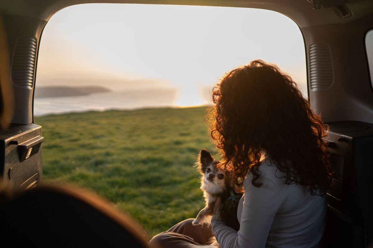 Woman and small dog gazing at scenic coastal landscape from open RV door at sunset.