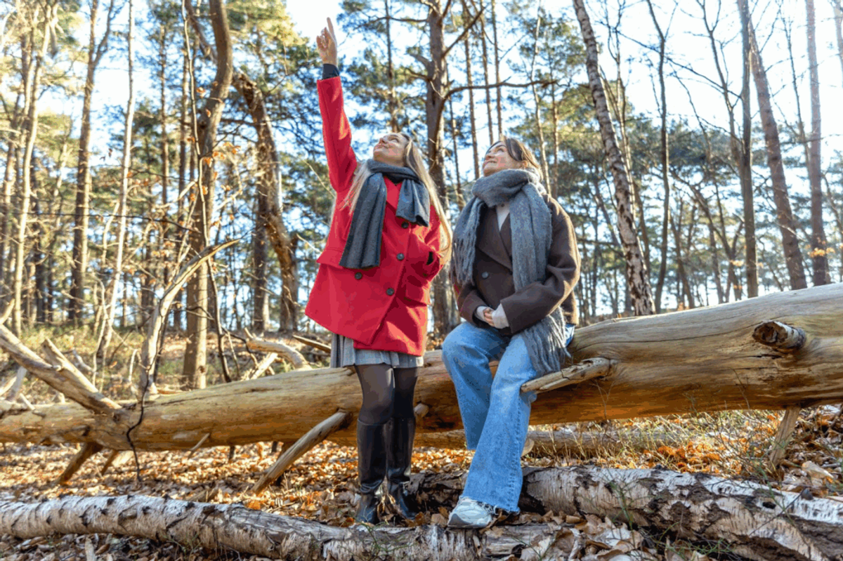 Two women sitting on fallen logs in a forest, one pointing upward at tall pine trees, enjoying outdoor nature activities.