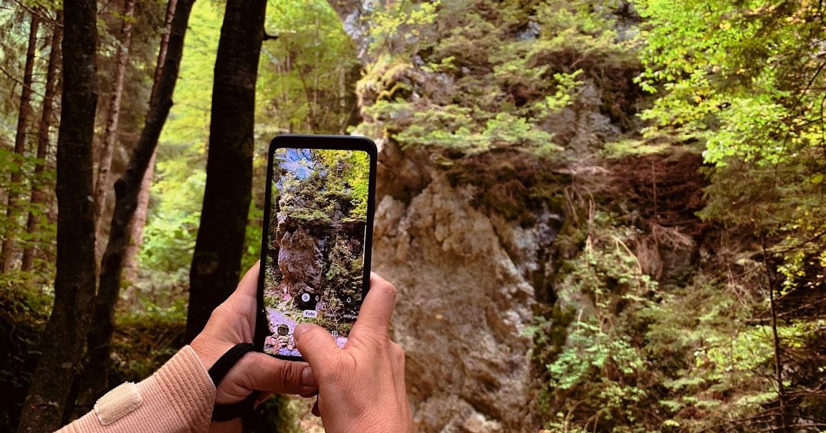 Person holding smartphone to photograph rocky canyon surrounded by dense green forest and tall trees.