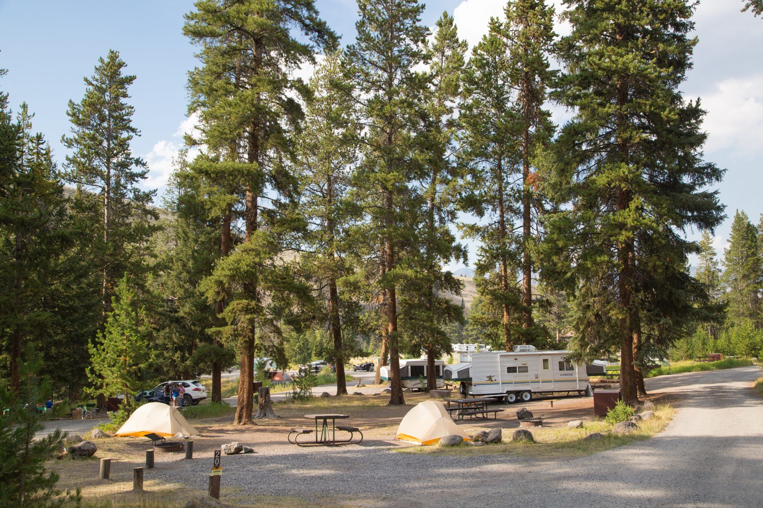 Exploring the Pacific Northwest: Camping Market Owner Insights